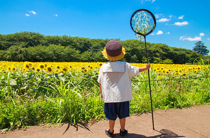 非常時の口腔ケアグッズの備えをしましょう