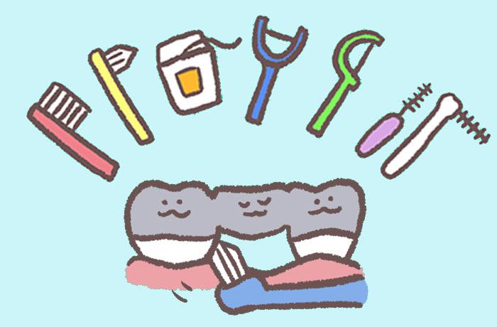 ブリッジの清掃に使用する歯ブラシや歯間ブラシなどの補助清掃用具のイラスト